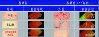 2020年云南建博会|氟硕王—氟膜防腐，更防水！