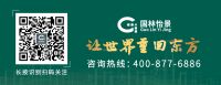 “国林怡景”携手“城市绿心”打造中国现代园林新标杆