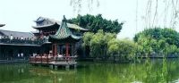 游学季｜新包豪斯学院：于行走中，感悟生活的艺术