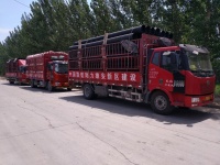 “新基建”风口下,联塑再一举中标雄安容东片区管廊建设项目