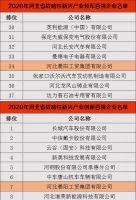 河北晨阳工贸集团入选河北省战略性新兴产业 双百强 企业