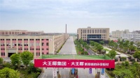 大王椰板材推出“植物与呵护”除醛系列新品，无缝链接绿色健康人居