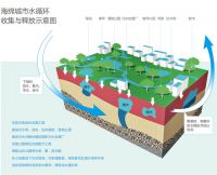 暴雨“大考” 看海绵城市如何交出漂亮答卷