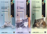 凡奇创意地产案例 | 地产界首场萌猫主题线上发布会！