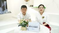 解密诺贝尔岩板5.0全通体系列， 酷家乐近观岩板界的“劳斯莱斯”
