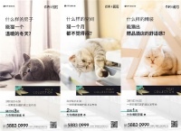 凡奇创意地产案例 | 地产界首场萌猫主题线上发布会！
