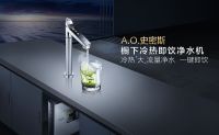 中国家居产业发展年会：A.O.史密斯荣获“大雁奖”