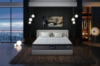 穗宝洞悉家居消费新需求，加速推动战略落地