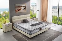 穗宝洞悉家居消费新需求，加速推动战略落地