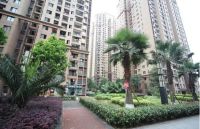 全国智慧保障房示范项目：国民应用5G NB-IoT技术，实现住房智能化管理