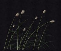 墙面窗帘不分家，合体才能打天下！