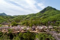 抢报名 | 2020酷+创造营线下第一站河南•济源招募开启