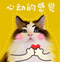 郁可唯+索爱=可爱，首个索爱音乐工厂秀正式出道啦！