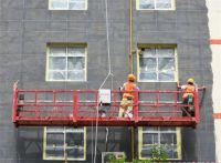 紫荆花助力康县“双修”，打开县城美丽新模式