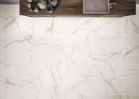 当狮王瓷砖遇上……，设计赋能将大有不同！