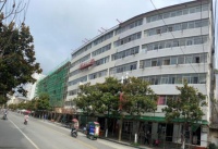 紫荆花助力康县“双修”，打开县城美丽新模式