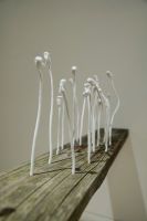 上海明珠美术馆“以花之名”展览八月盛大开幕