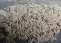 首届北疆硅藻文化节丨工厂直补亿元消费券，优惠超乎想象!