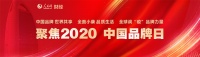 ​每一个肯定都是新起点 庆祝巧燕筑家再获殊荣