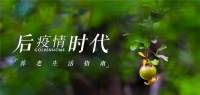 恭和家园：后疫情时代的养老生活指南