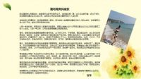 聚合正能量 热烈祝贺海天恒基集团成立25周年！