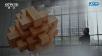 红星美凯龙车建新：用爱致敬中国