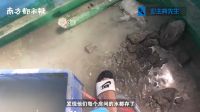 一觉醒来家里忽变“水帘洞” 地板墙壁都在冒水