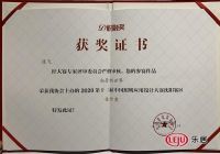 祝融奖 | 陈飞作品获奖，逐光者的执着