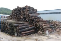 盛友木门｜疫情之后，全新起航