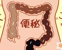 从首相到“超级英雄”，他们都需要这款马桶