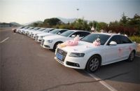 结婚戒指多少钱 婚礼当天要做哪些准备