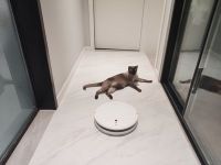 追觅科技F9扫地机器人， 一款可以解放双手的吸尘器