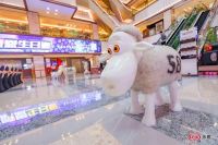 舒达89周年感恩生日惠圆满成功