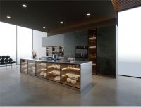 厨峰不锈钢橱柜总经理丁正才:从厨房集成化看未来厨电发展方向