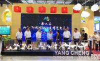 山西阳城：再投百亿支持陶瓷产业发展