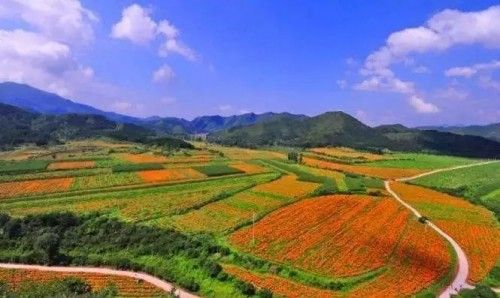 京郊四季花海，这个拥有彩虹步道、泳池、滑梯房的山上云下