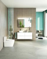 Roca新品上市，洗漱、美妆区家具首次开放定制