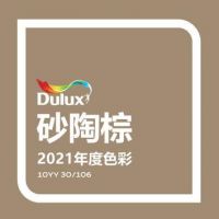 多乐士发布2021全球色彩趋势：砂陶棕让你无惧生活改变