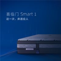 “撕掉传统标签，喜临门放肆起来”