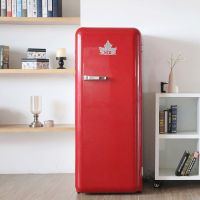 全职妈妈的福音！宝贝的健康由HCK哈士奇冰箱守护