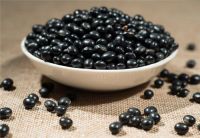 十岁女孩体重身高是多少 可以促进孩子长高有哪些