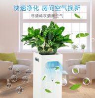 如何避免甲醛污染 急入住新房怎样有效快速去除甲醛