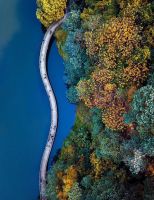 FOR YOU“范”| 久盛新品 高端来袭