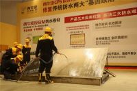 西牛皮现制防水革新研讨会在南京隆重举行