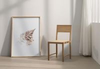 锐驰：西扎椅|“椅”见钟情