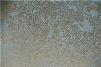 【领绣】秘境系列| 入世与幽隐，打造专属自己的画外之境