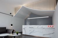 SKF OFFICE|世纪名筑吕欣新作