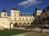 当HCK哈士奇邂逅百年酒庄，浪漫的不止红酒……