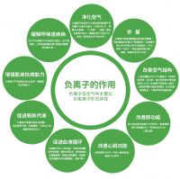 颠覆传统家庭影院——未来家庭影院现身中央电视台