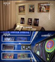 颠覆传统家庭影院——未来家庭影院现身中央电视台